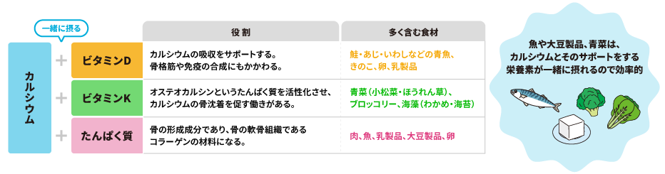 カルシウムの吸収促進など、骨の健康にかかわる栄養素を合わせて摂る