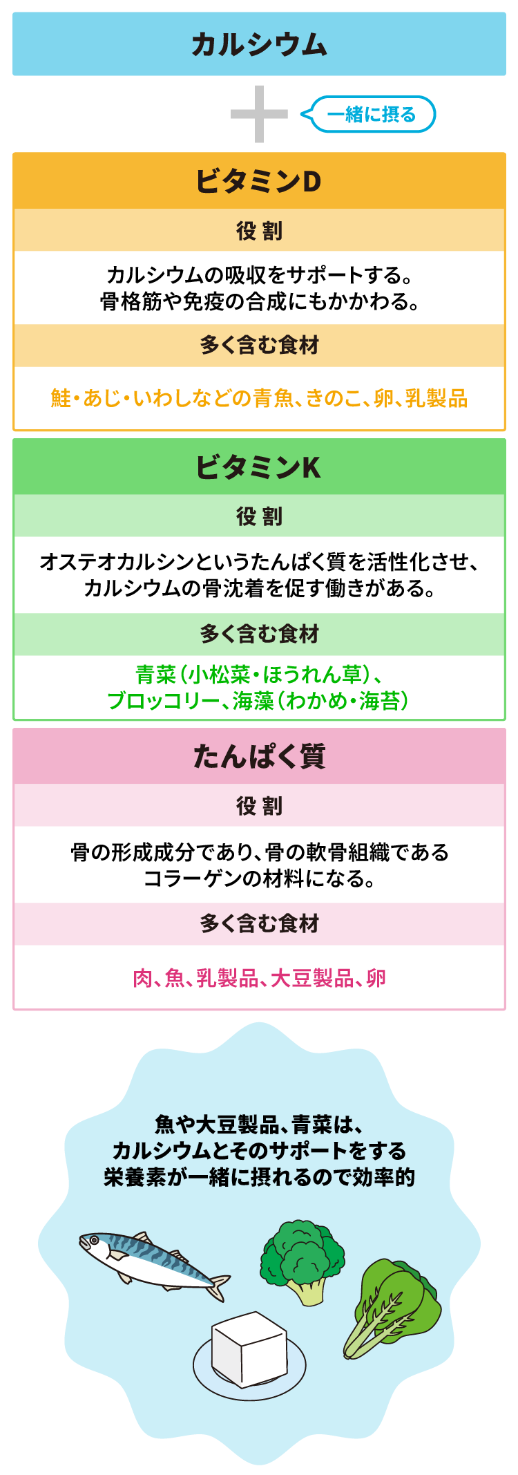 カルシウムの吸収促進など、骨の健康にかかわる栄養素を合わせて摂る