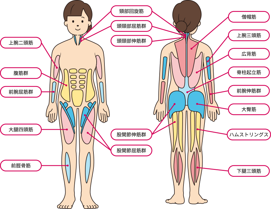 脊髄性筋萎縮症 Sma 患者さんのためのリハビリ 筋トレ おうちリハ With Your Sma 中外製薬 脊髄性筋萎縮症 Sma