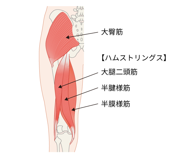 脊髄性筋萎縮症（SMA）患者さんのためのリハビリ・筋トレ ソファに座っ 